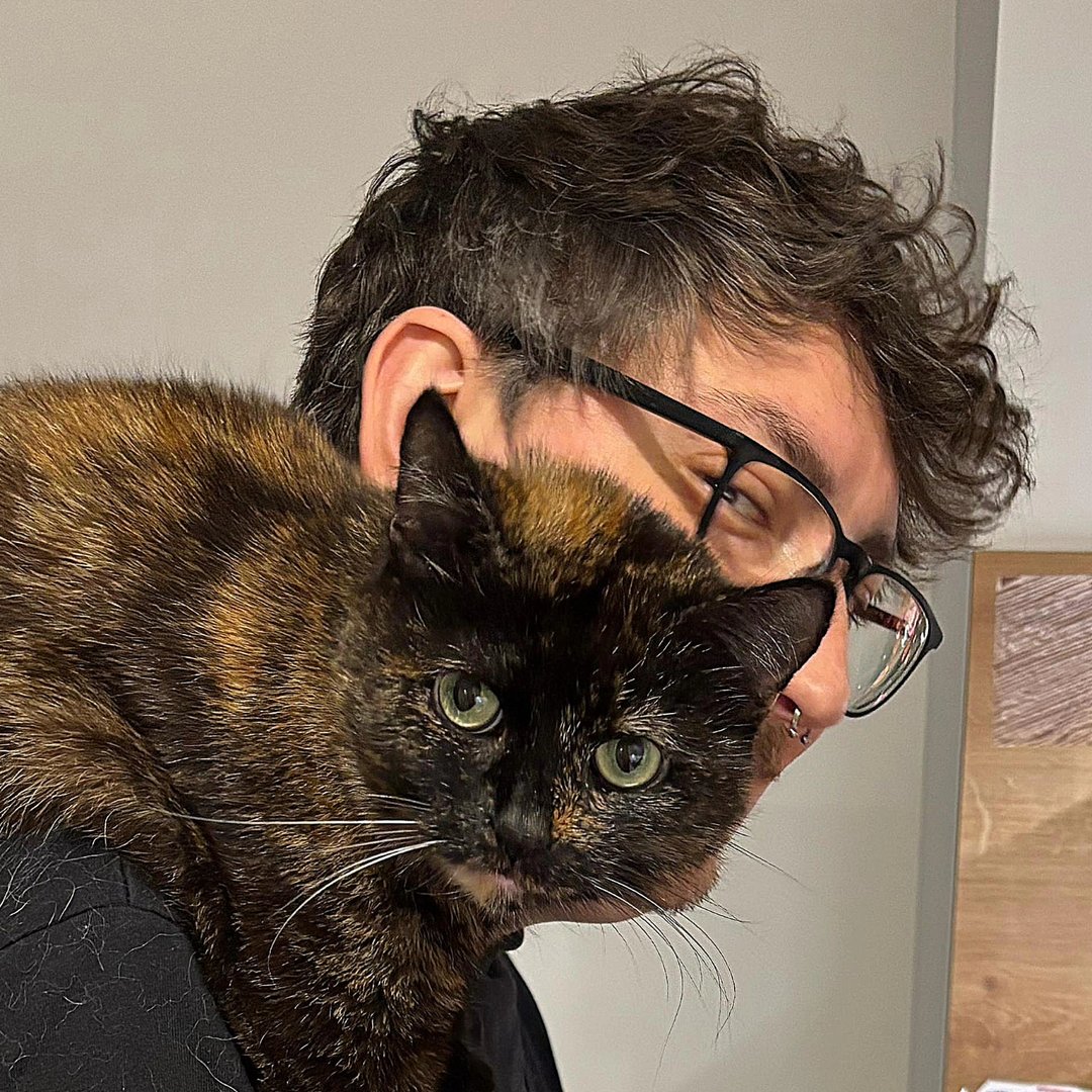 tob cat